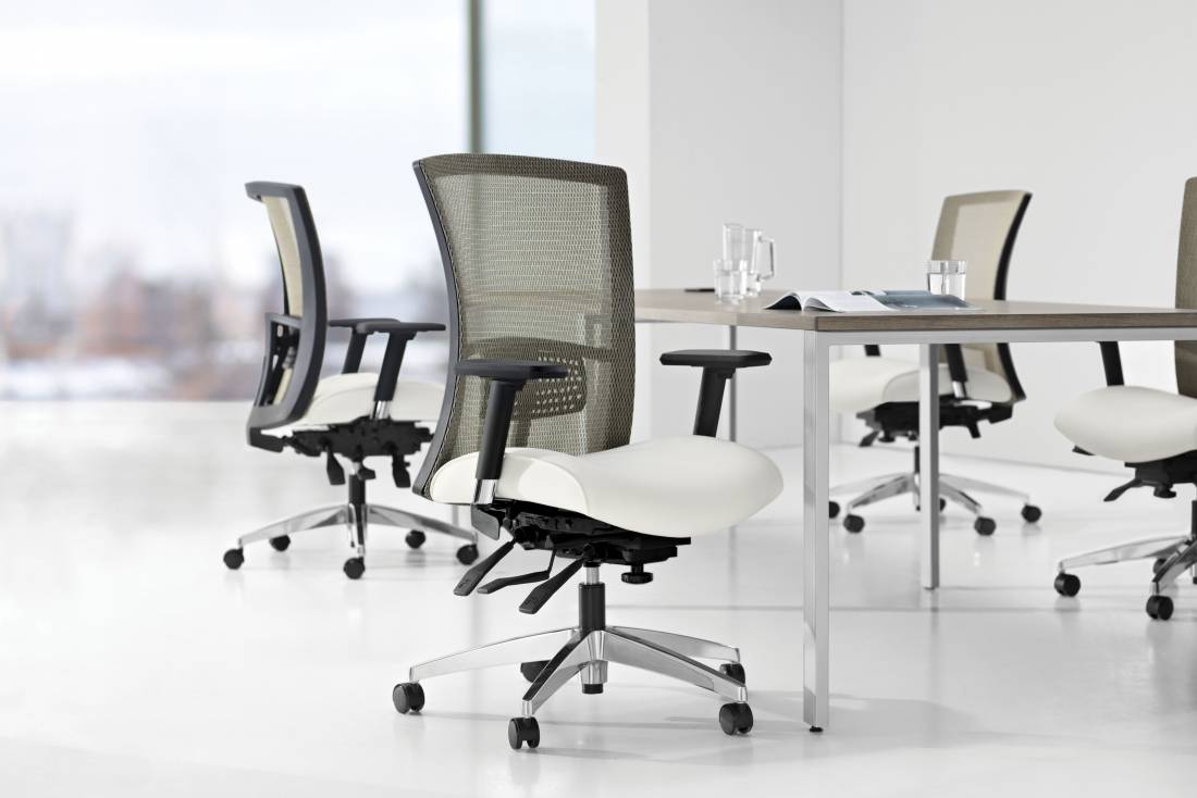 Vion Ergonomic Office Chair | Fully Adjustable with Lumbar Support