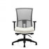 Vion Ergonomic Office Chair | Fully Adjustable with Lumbar Support