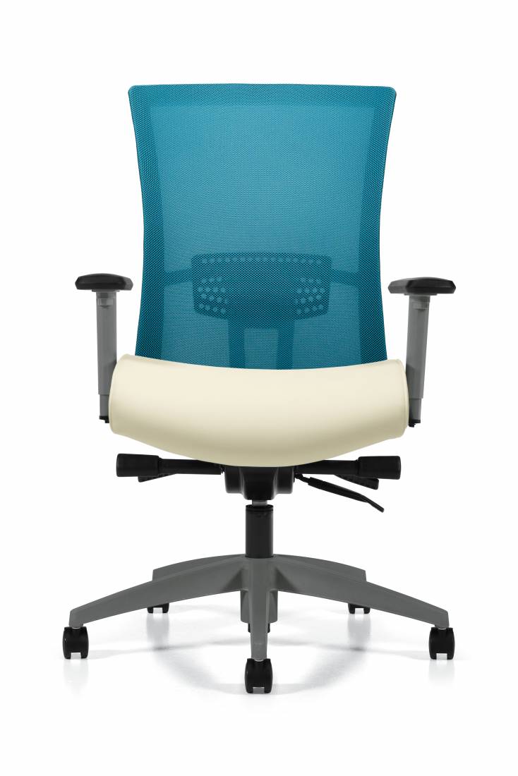 Vion Ergonomic Office Chair | Fully Adjustable with Lumbar Support