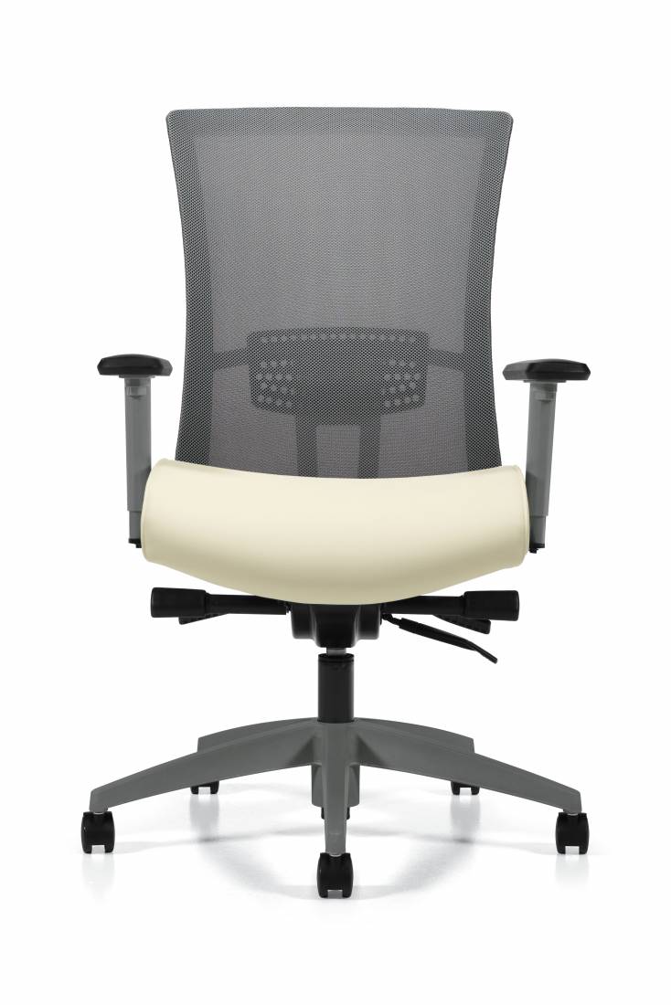 Vion Ergonomic Office Chair | Fully Adjustable with Lumbar Support