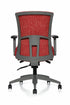 Vion Ergonomic Office Chair | Fully Adjustable with Lumbar Support