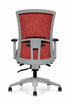 Vion Ergonomic Office Chair | Fully Adjustable with Lumbar Support