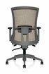 Vion Ergonomic Office Chair | Fully Adjustable with Lumbar Support