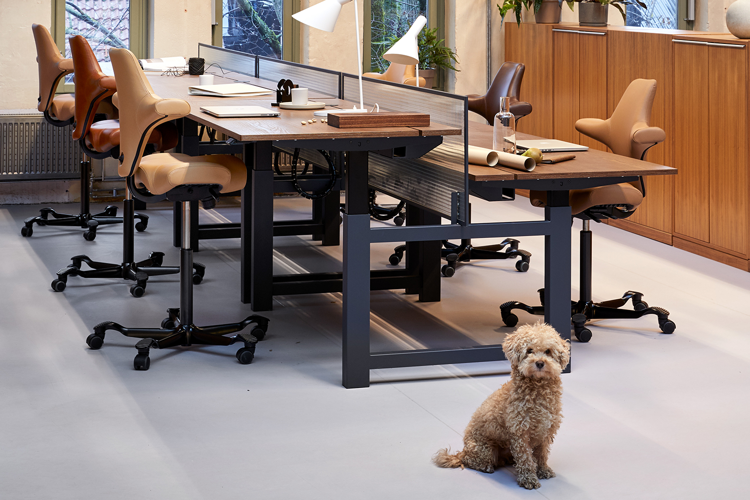 HÅG Capisco Ergonomic Office Chair | Active Sitting Saddle Seat | 9to5 Seating