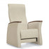 Global Coast Gliders – Safe & Comfortable Healthcare Rocking Chairs