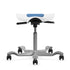 HÅG Capisco Plus Ergonomic Office Chair | Saddle Seat for Active Sitting | 9to5 Seating
