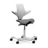 HÅG Capisco Plus Ergonomic Office Chair | Saddle Seat for Active Sitting | 9to5 Seating