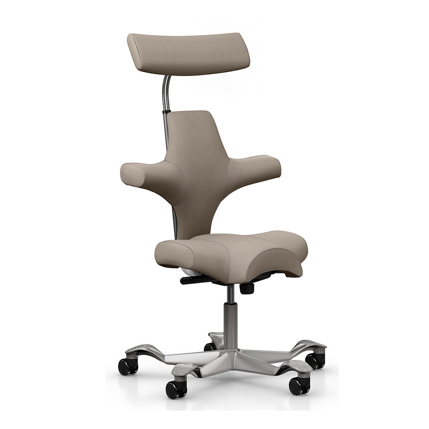 HÅG Capisco Ergonomic Office Chair | Active Sitting Saddle Seat | 9to5 Seating