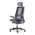 Allseating Equation | Task Chair — Equation — Equation With Height Adjustable Arms, Dual Pivot Arm Caps, Weight Activated Mechanism and Headrest