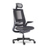 Allseating Equation | Task Chair — Equation — Equation With Height Adjustable Arms, Dual Pivot Arm Caps, Weight Activated Mechanism and Headrest