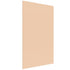SOLO Hygienic Glassboard for Nurse Charting & Clinics