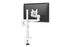 Evolve Single Monitor Arm | Adaptable Solutions for Flexible Workspaces Single Monitor Arm Fellowes 
