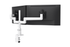 Kata EX2 Series Dual Monitor Arm | Adjustable, Durable & Versatile Dual Monitor Arm Fellowes 