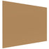 SOLO Hygienic Glassboard for Nurse Charting & Clinics