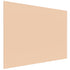 SOLO Hygienic Glassboard for Nurse Charting & Clinics